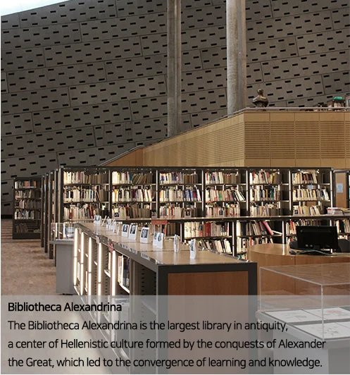 In-house library interior